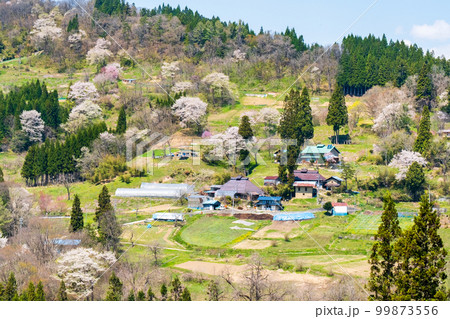 春の長閑な山村風景（長野県小川村） 99873556
