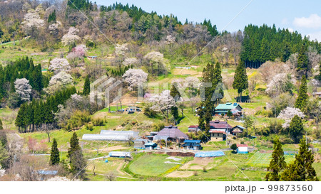 春の長閑な山村風景(長野県小川村) 春の長閑な山村風景(長野県小川村) 99873560