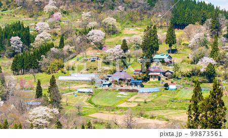 春の長閑な山村風景（長野県小川村） 99873561