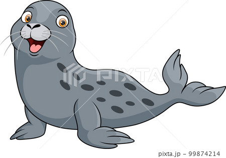 Cute baby seal on white background 99874214
