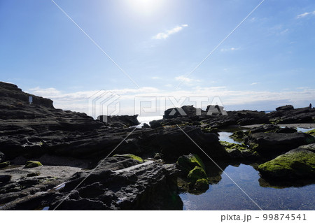 【城ヶ島】馬の背洞門周辺の海 99874541