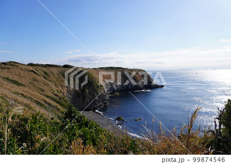 【城ヶ島】馬の背洞門へ続く道 99874546