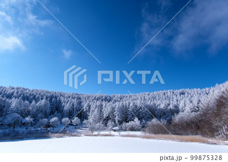 湖畔の霧氷 99875328