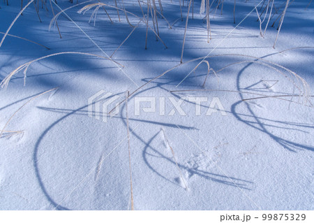 すすきの霧氷 99875329