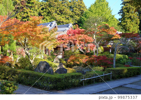 鮮やか紅葉 もみじの葉 鮮やか紅葉 もみじの葉 99875337