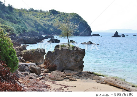 トゥマイ浜　波平岩 99876290