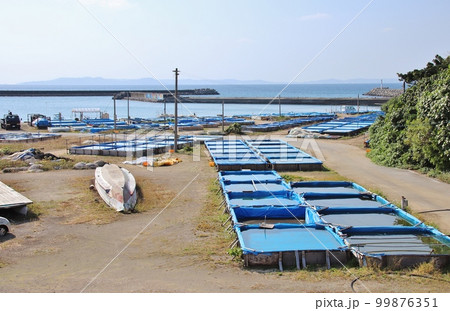 津堅島 もずくの養殖風景 津堅島 もずくの養殖風景 99876351