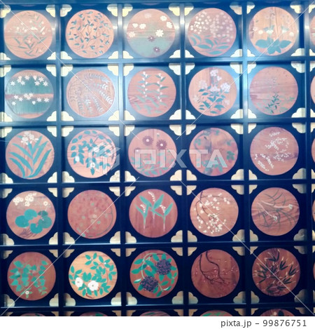 天井絵10 99876751