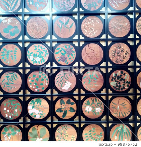 天井絵11 99876752