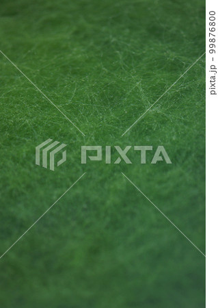 夏の山中、野池の水中に繁茂する（緑藻）糸状ゴケが全体を覆うイメージのフラットな背景テクスチャー。 99876800