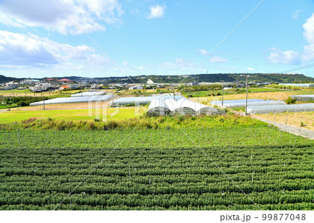 具志頭中学校、小学校周辺～八重瀬岳方面を望む(沖縄県八重瀬町)【2023.2】 99877048