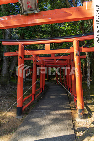 奈良県、橿原神宮 奈良県、橿原神宮 99878439