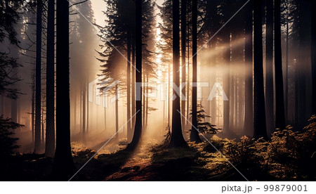 A forest scene in the early morning, with mist rising from the trees and sunlight filtering through the branches, Generative AI, illustration 99879001