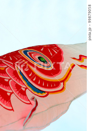 五月晴れの大空を気持ちよく泳ぐ、赤いお母さん鯉のぼり。 99879058