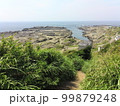 城ヶ島を一望す 99879248