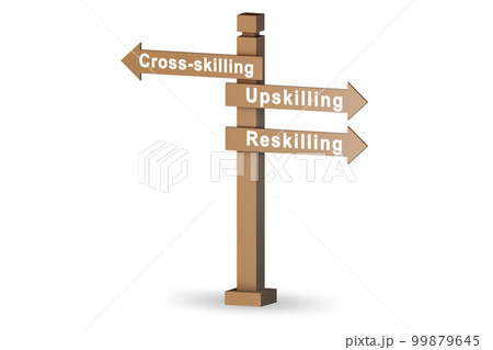 At the crossroads choosing between up-skilling and re-skilling 99879645