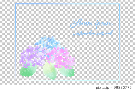 水彩タッチのグラデーションカラーのあじさいと水彩で描いた線のフレームイラスト 99880775