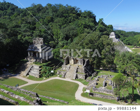 世界遺産　メキシコ合衆国　パレンケ　遠景6 99881144