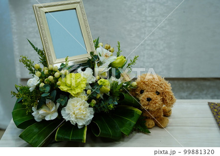 故人が好きだった犬のぬいぐるみ 99881320