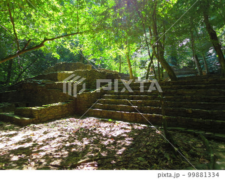 世界遺産 メキシコ合衆国 パレンケ 公園内8 世界遺産 メキシコ合衆国 パレンケ 公園内8 99881334