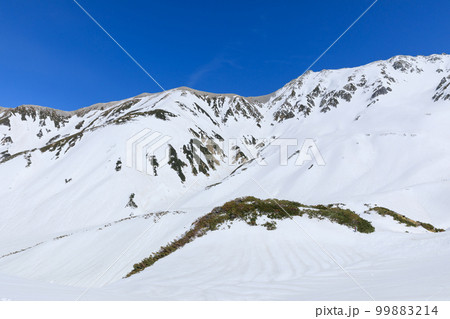富山_初春の立山室堂の絶景 富山_初春の立山室堂の絶景 99883214