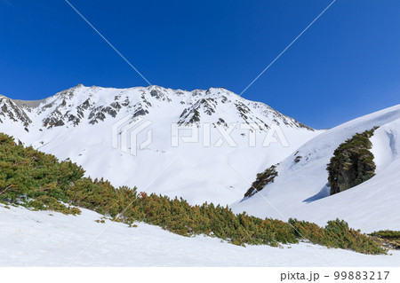 富山_初春の立山室堂の絶景 富山_初春の立山室堂の絶景 99883217