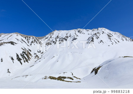 富山_初春の立山室堂の絶景 富山_初春の立山室堂の絶景 99883218