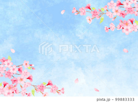 手描き水彩　桜の背景イラスト　  99883333