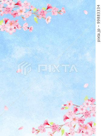手描き水彩　桜の背景イラスト　  99883334