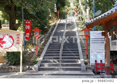 大阪 豊中 上新田天神社の参道(晩冬) 大阪 豊中 上新田天神社の参道(晩冬) 99883402