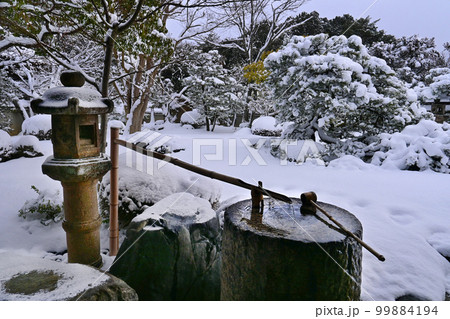 冬の朝の京都市岩倉 妙満寺 雪の庭と蹲 99884194