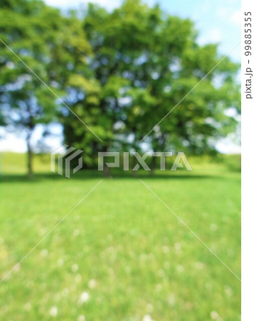 背景用ボカシ素材・新緑の頃 背景用ボカシ素材・新緑の頃 99885355
