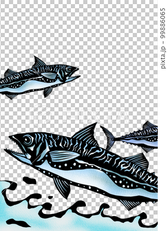 Spanish mackerel jumping on the surface of the water vertical writing 99886065