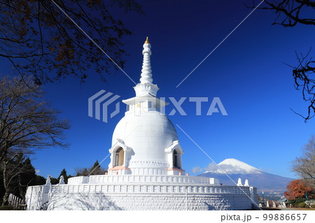 冬晴れの仏舎利塔と富士山 冬晴れの仏舎利塔と富士山 99886657