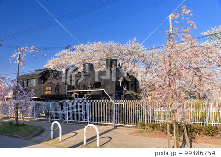 福島_日中線のしだれ桜とSLの風景 99886754