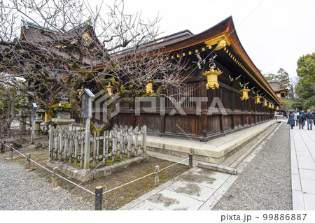 北野天満宮(2月)回廊 北野天満宮(2月)回廊 99886887