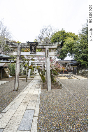 北野天満宮（2月）竈社 99886929
