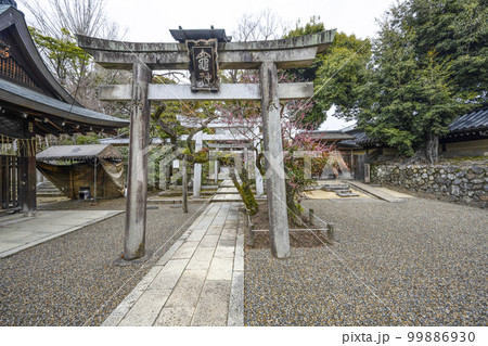 北野天満宮（2月） 99886930