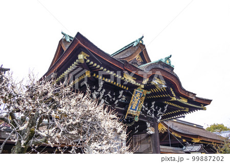 北野天満宮(2月)三光門 北野天満宮(2月)三光門 99887202