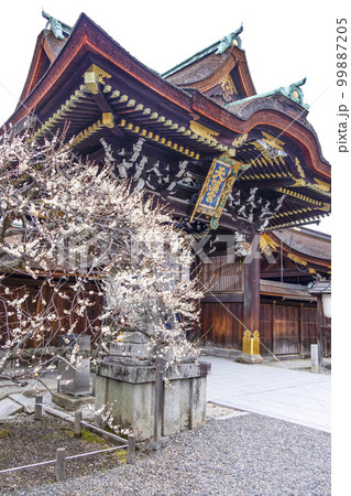 北野天満宮(2月)三光門 北野天満宮(2月)三光門 99887205