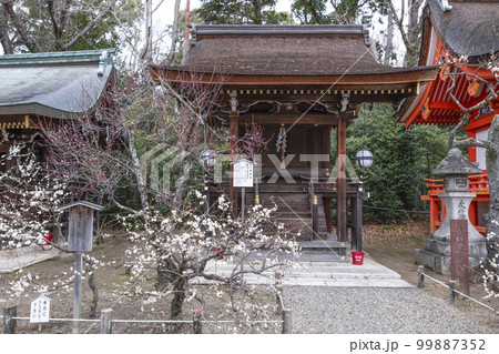 北野天満宮(2月)老松社 北野天満宮(2月)老松社 99887352