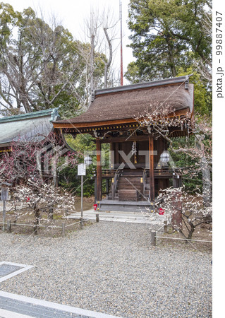 北野天満宮(2月)老松社 北野天満宮(2月)老松社 99887407