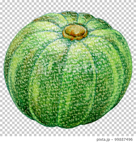 夏日蔬菜南瓜彩色鉛筆劃一點圖解 99887496