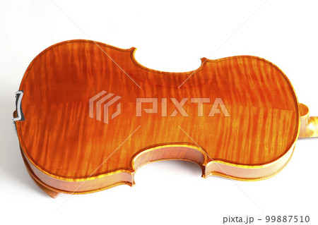 白バックで撮った木目が美しいヴァイオリンの裏側 99887510