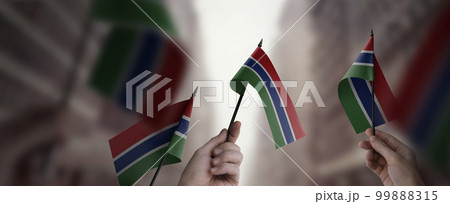 A group of people holding small flags of the Gambia in their hands 99888315