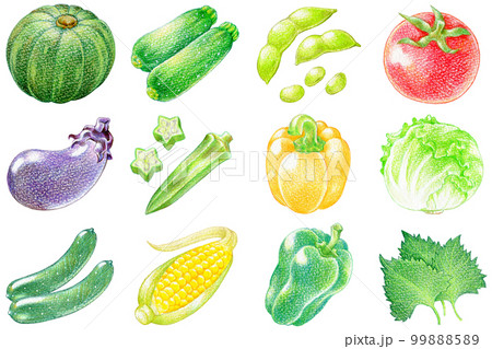夏野菜の色鉛筆画ワンポイントイラストセットのイラスト素材 [99888589