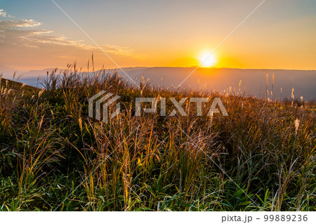 大観峰の夕陽と草紅葉　【熊本県阿蘇市】 99889236