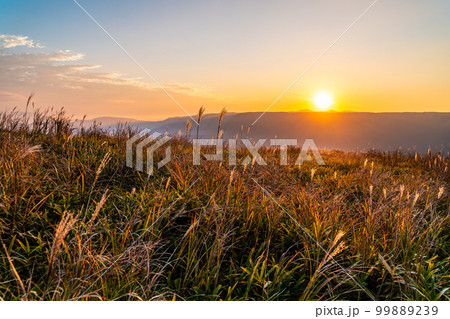 大観峰の夕陽と草紅葉　【熊本県阿蘇市】 99889239