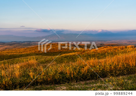 大観峰の夕陽と草紅葉　【熊本県阿蘇市】 99889244