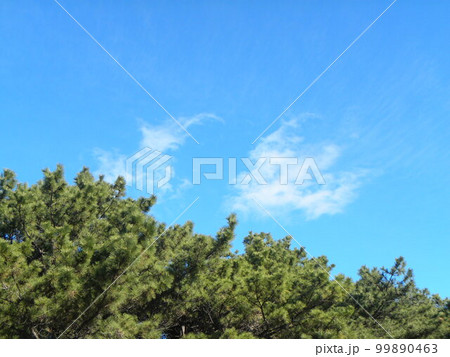 冬の稲毛海岸の上空の青い空と白い雲 99890463